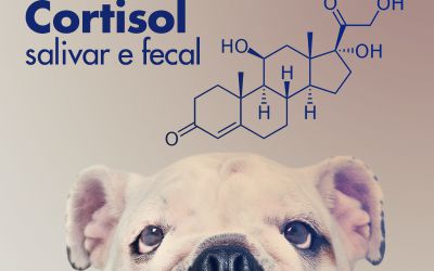 Cortisol Salivar e Fecal